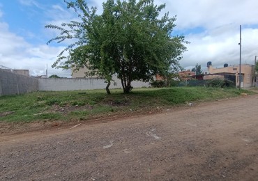 Venta 2 terrenos a mts. de Av. Irazusta